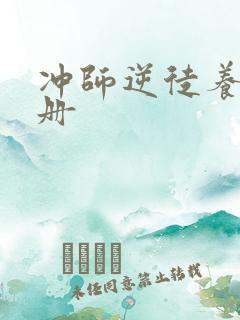 冲师逆徒养成手册