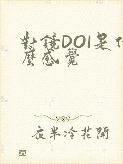 对镜DOI是什么感觉