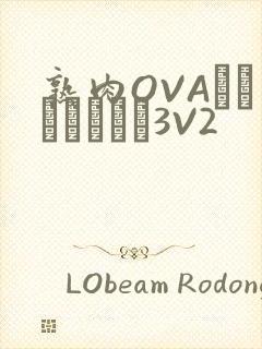 熟肉OVAちゃんはしたい3V2