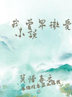 我曾卑微爱过你 小说
