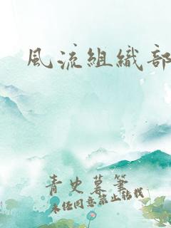风流组织部长