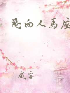 飞向人马座