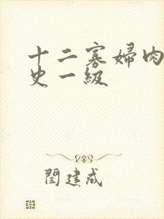 十二寡妇肉床艳史一级