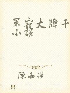 军宠大牌千金 小说