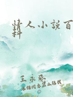 情人小说百度百科