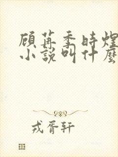 顾苒季时煜电竞小说叫什么名字