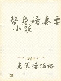 替身娇妻要离婚 小说