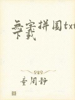 无字拼图txt下载