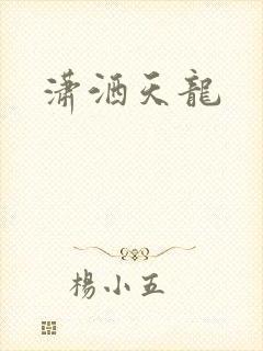 潇洒天龙