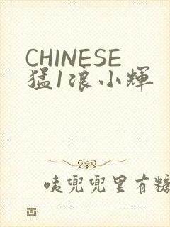 CHINESE猛1浪小辉
