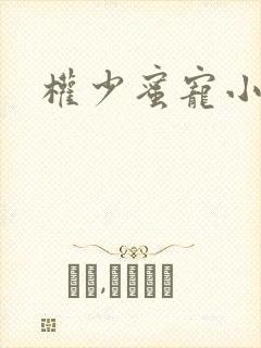 权少蜜宠小娇妻