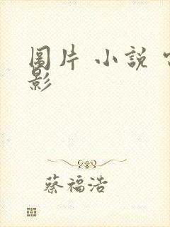 图片 小说 电影