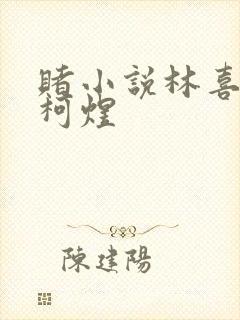 赌小说林喜朝和柯煜