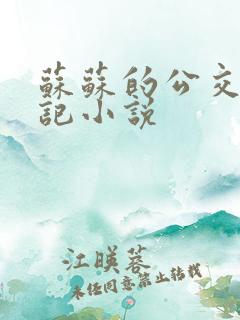 苏苏的公交车日记小说