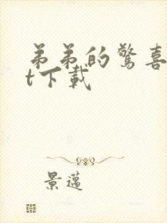 弟弟的惊喜txt下载