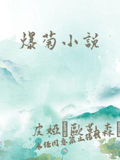 爆菊小说