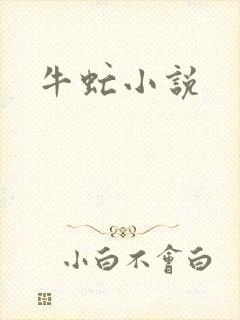 牛虻小说