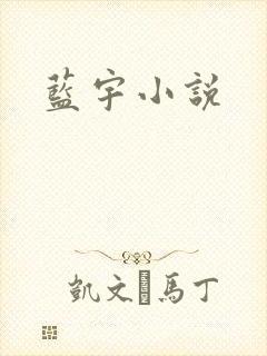 蓝宇小说