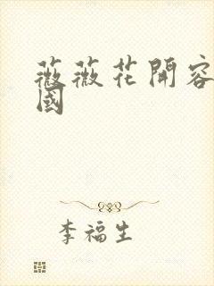 薇薇花开容颜倾国