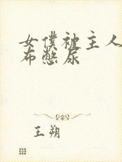 女仆被主人用胶布憋尿