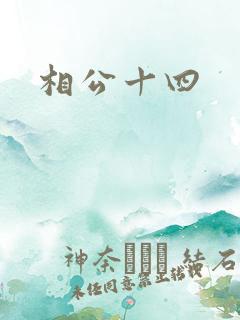 相公十四