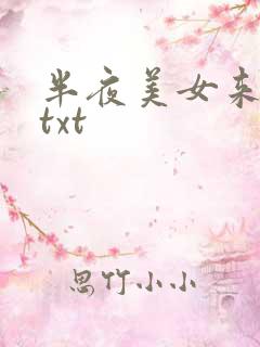 半夜美女来敲门txt