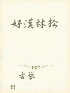 好汉林松