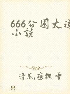 666公园大道小说