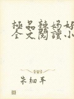 极品辣妈好v5全文阅读小说