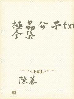 极品公子txt全集