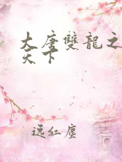 大唐双龙之无敌天下