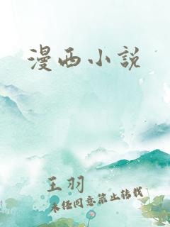 漫西小说