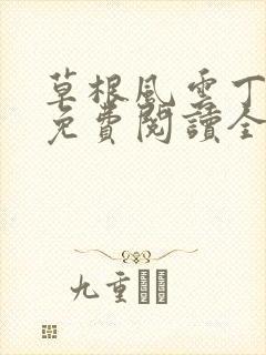 草根风云丁长生免费阅读全本