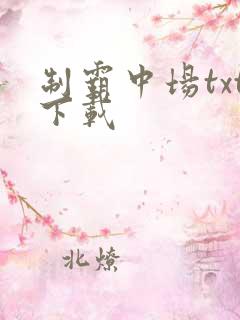 制霸中场txt下载