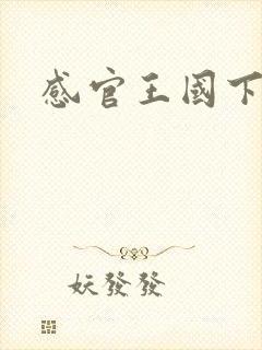 感官王国下载