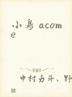 小鸟 acome