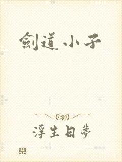 剑道小子