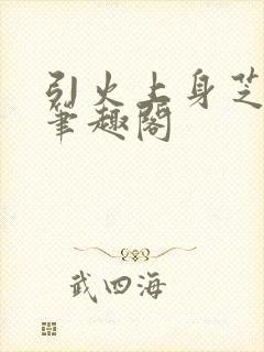 引火上身芝麻糖笔趣阁