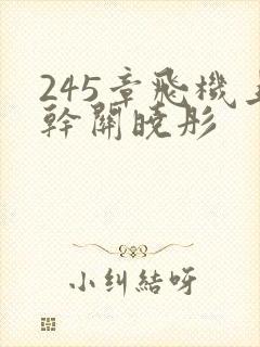 245章飞机上干关晓彤