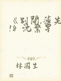 《别闹,薄先生!》沈繁星