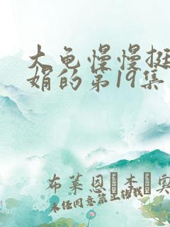 大龟慢慢挺进张娟的第19集