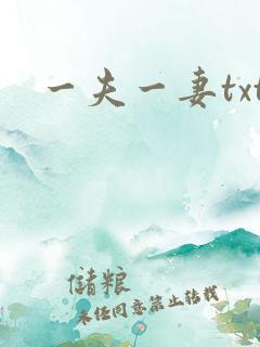 一夫一妻txt