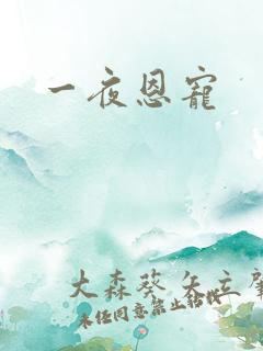一夜恩宠