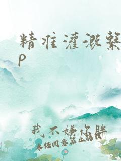 精准灌溉系统hp