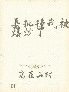 长批后我被宿敌爆炒了