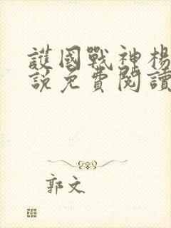 护国战神杨风小说免费阅读