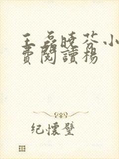 王磊晓芬小说免费阅读杨