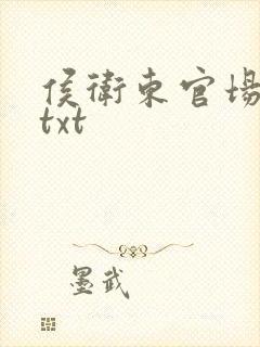 侯卫东官场笔记txt