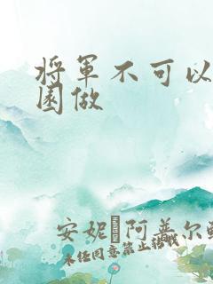 将军不可以在花园做