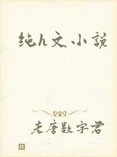 纯h文小说